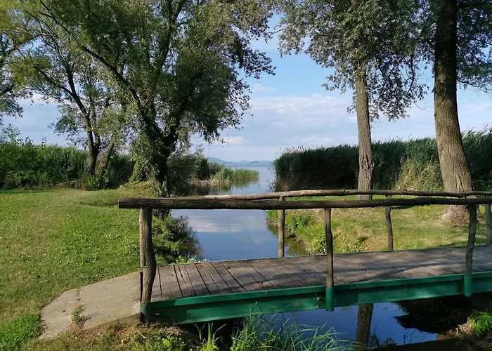 Prázdninový dům Tulipan Vendeghaz